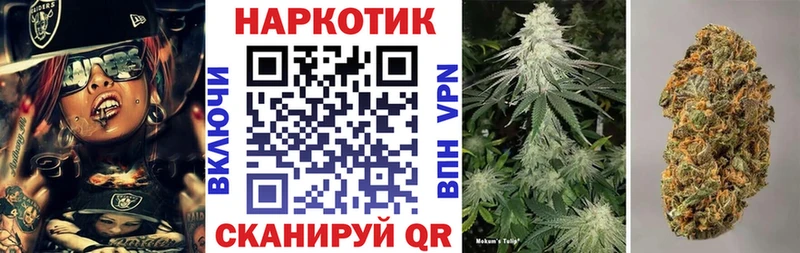 Наркотические вещества Курлово Марихуана  Alpha PVP  ГАШИШ 