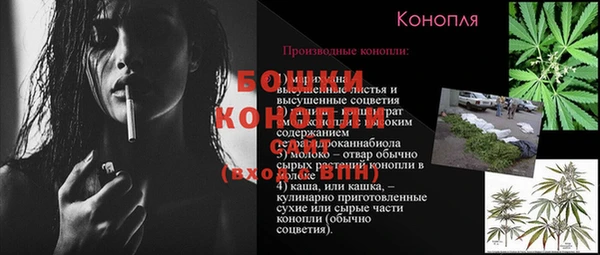 мдпв Россошь