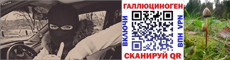 как найти   Курлово  Псилоцибиновые грибы Cubensis 