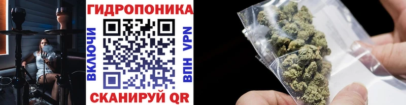 наркошоп  Курлово  Канабис план 